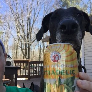 Meet your Posher, Colleen